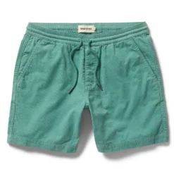 The Apres Short In Ocean Pinwale