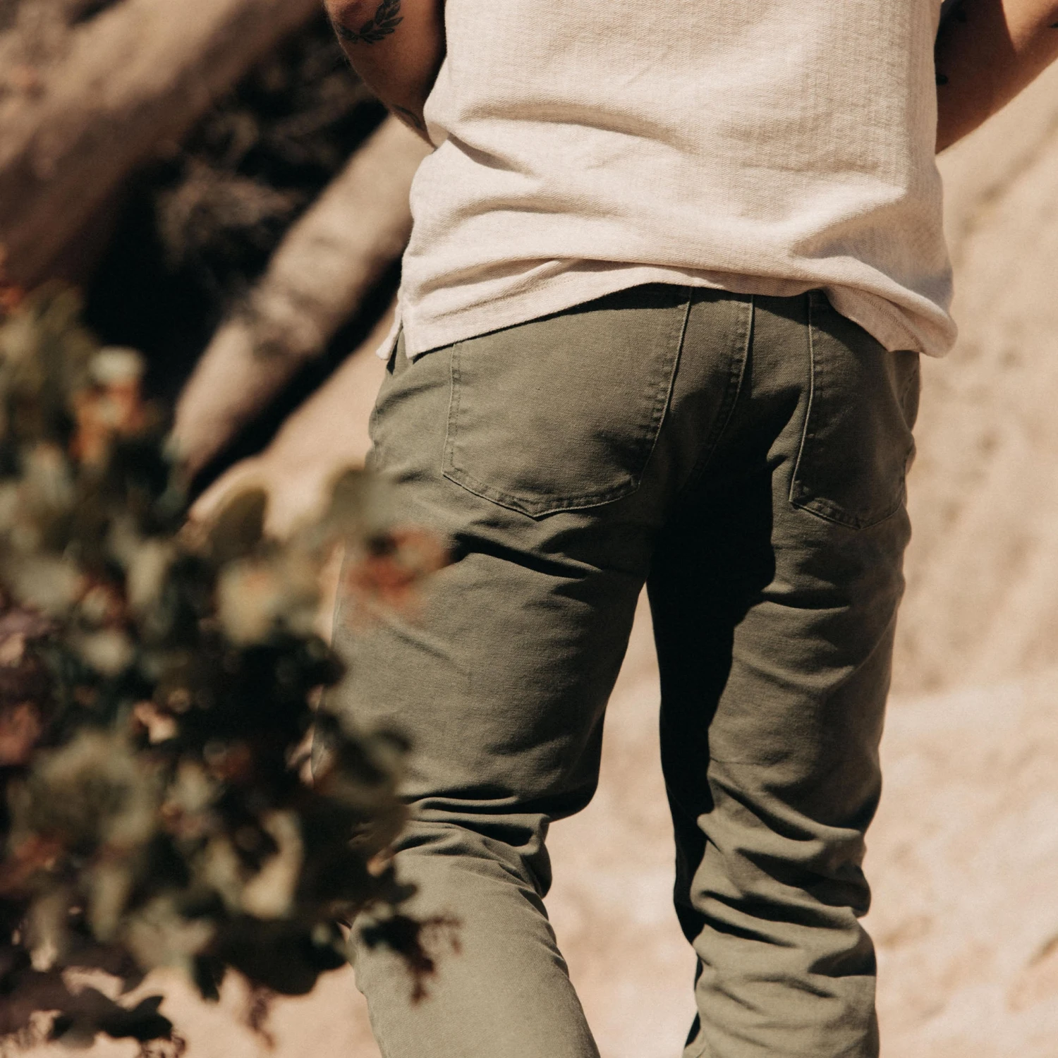 The Slim All Day Pant In Arid Eucalyptus Canvas - Image 3