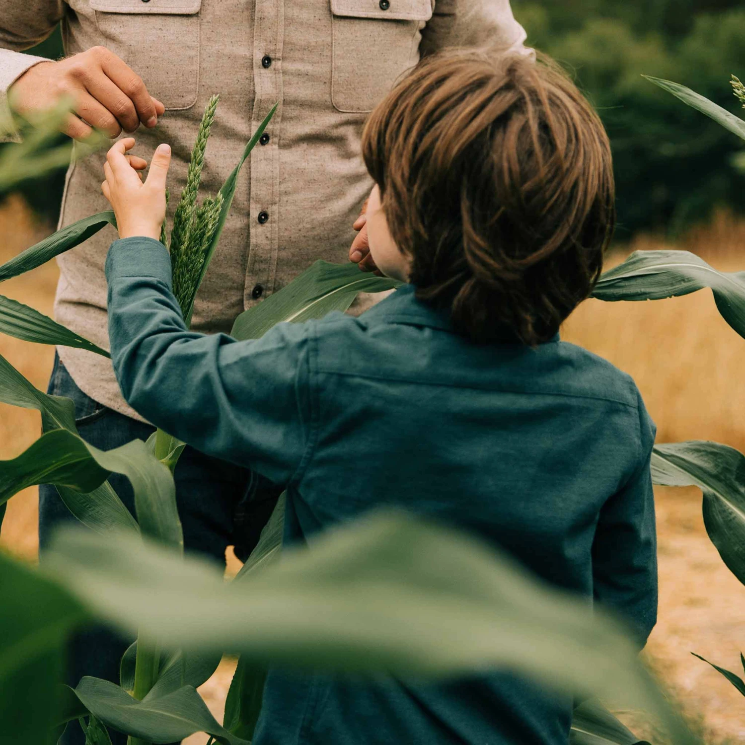 The Little Yosemite Shirt In Deep Ocean - Image 6